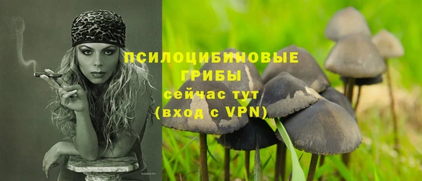 прущие грибы Алексеевка