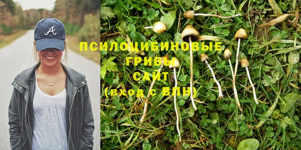 марки lsd Алексин