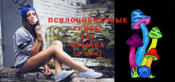 прущие грибы Алексеевка